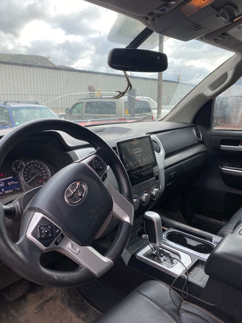 Customer review photo