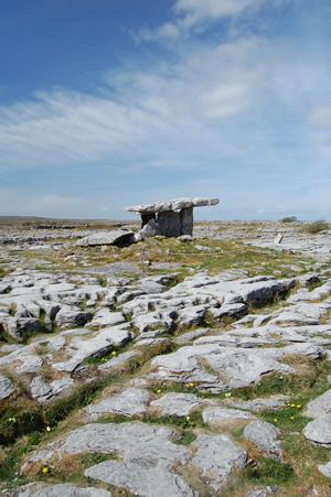 Photo with polarizing filter