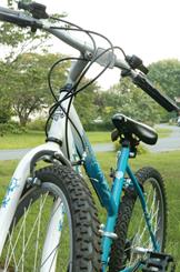 Bike and background in focus