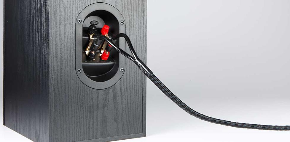 Back of speaker with speaker wire