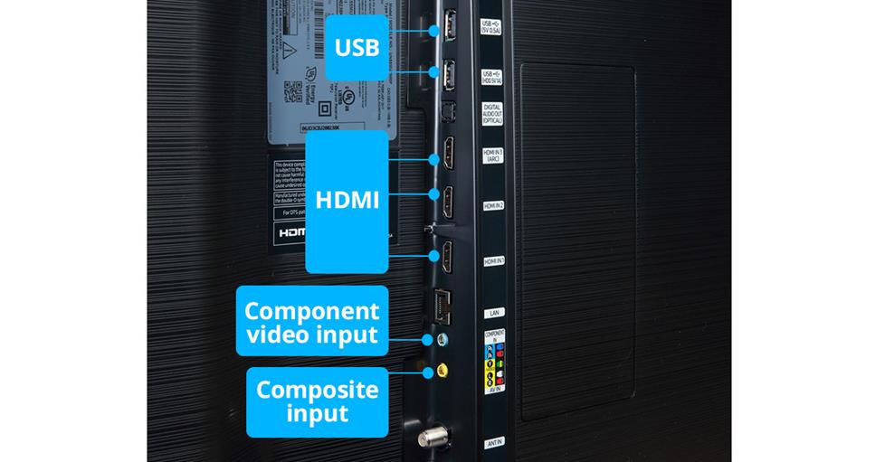 back panel