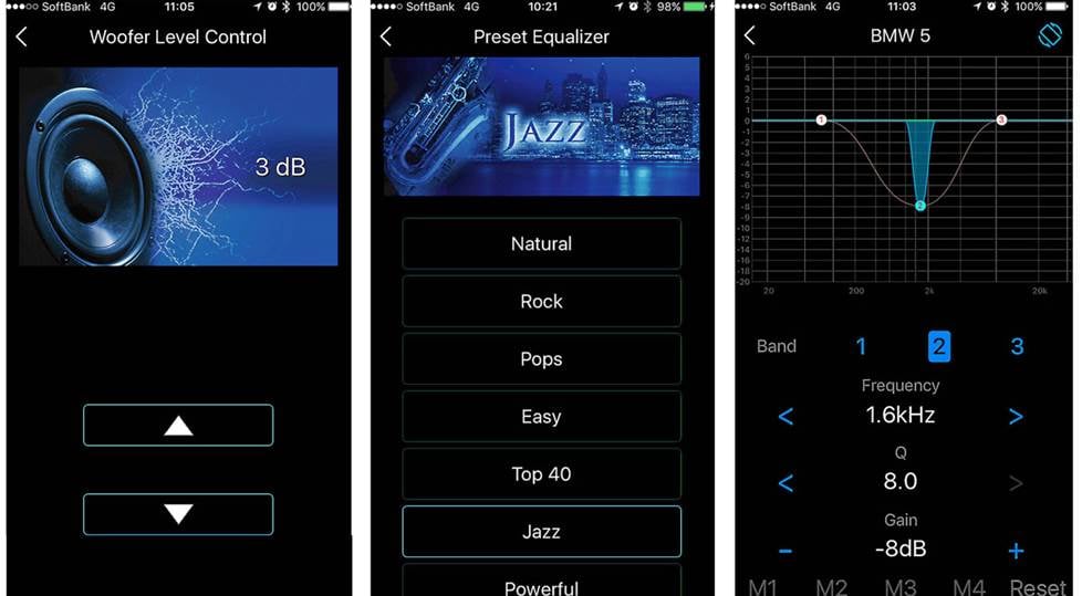 Examples of the app screens.