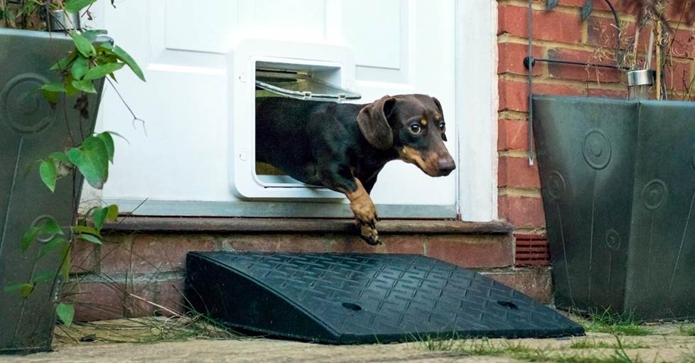 SureFlap Microchip Pet Door Connect
