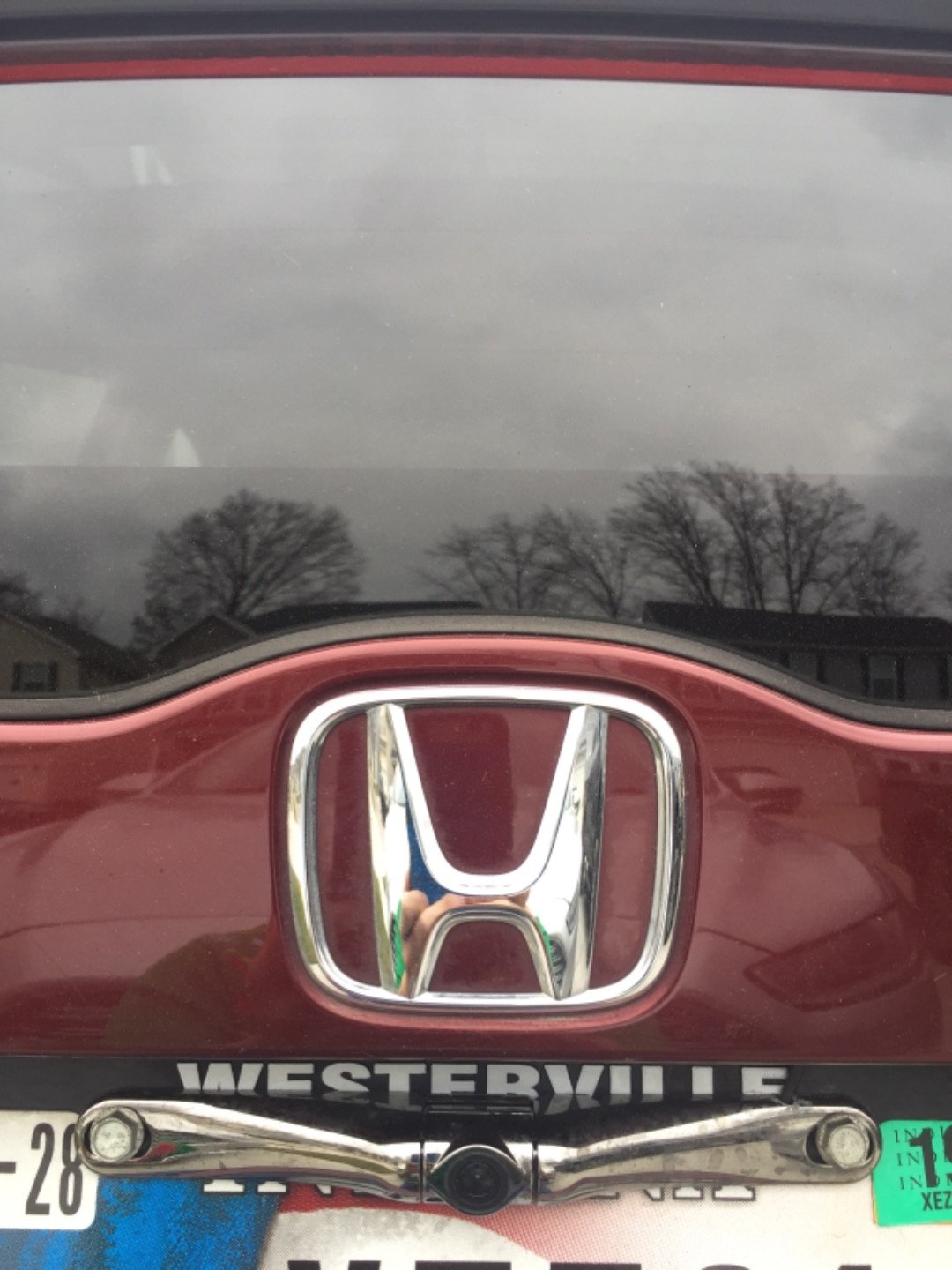 Customer review photo