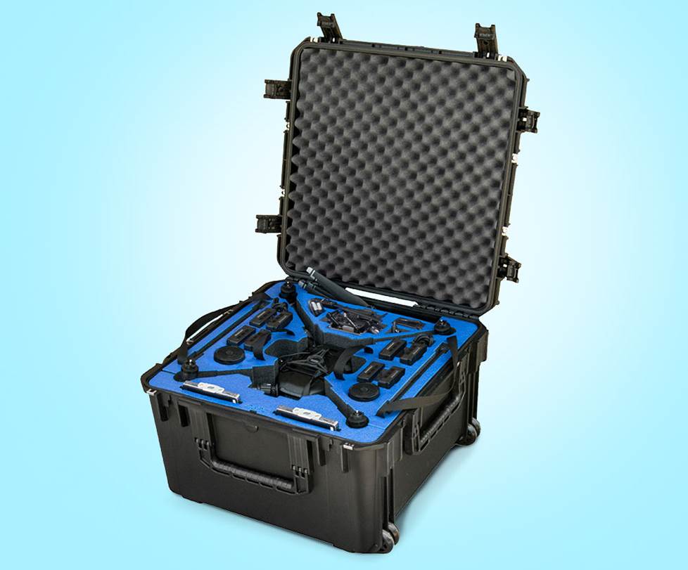 Case