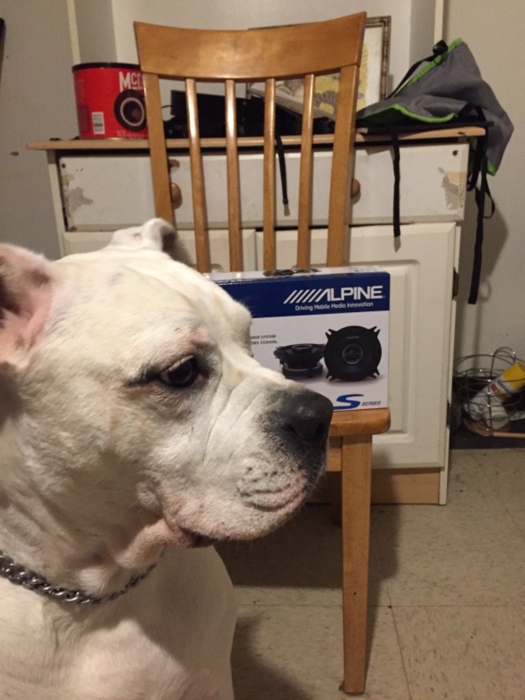 Customer review photo