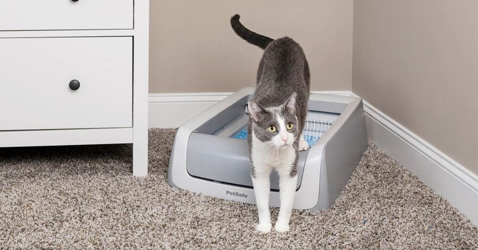 PetSafe's ScoopFree 2nd Generation self-cleaning litter box
