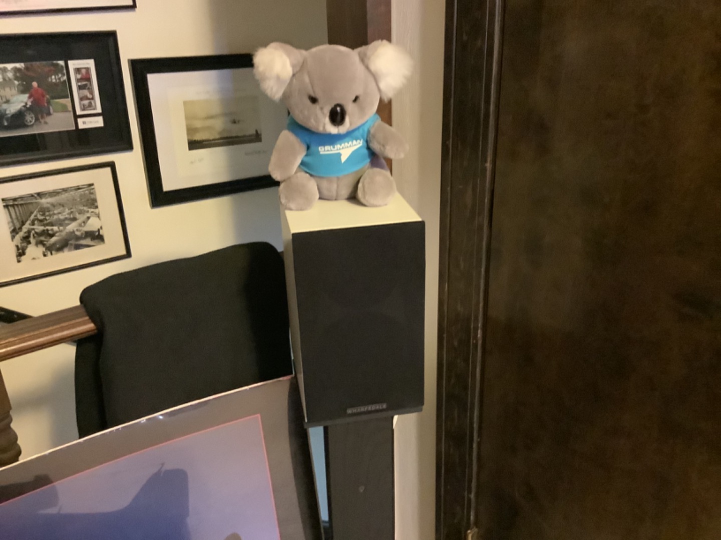 Customer review photo