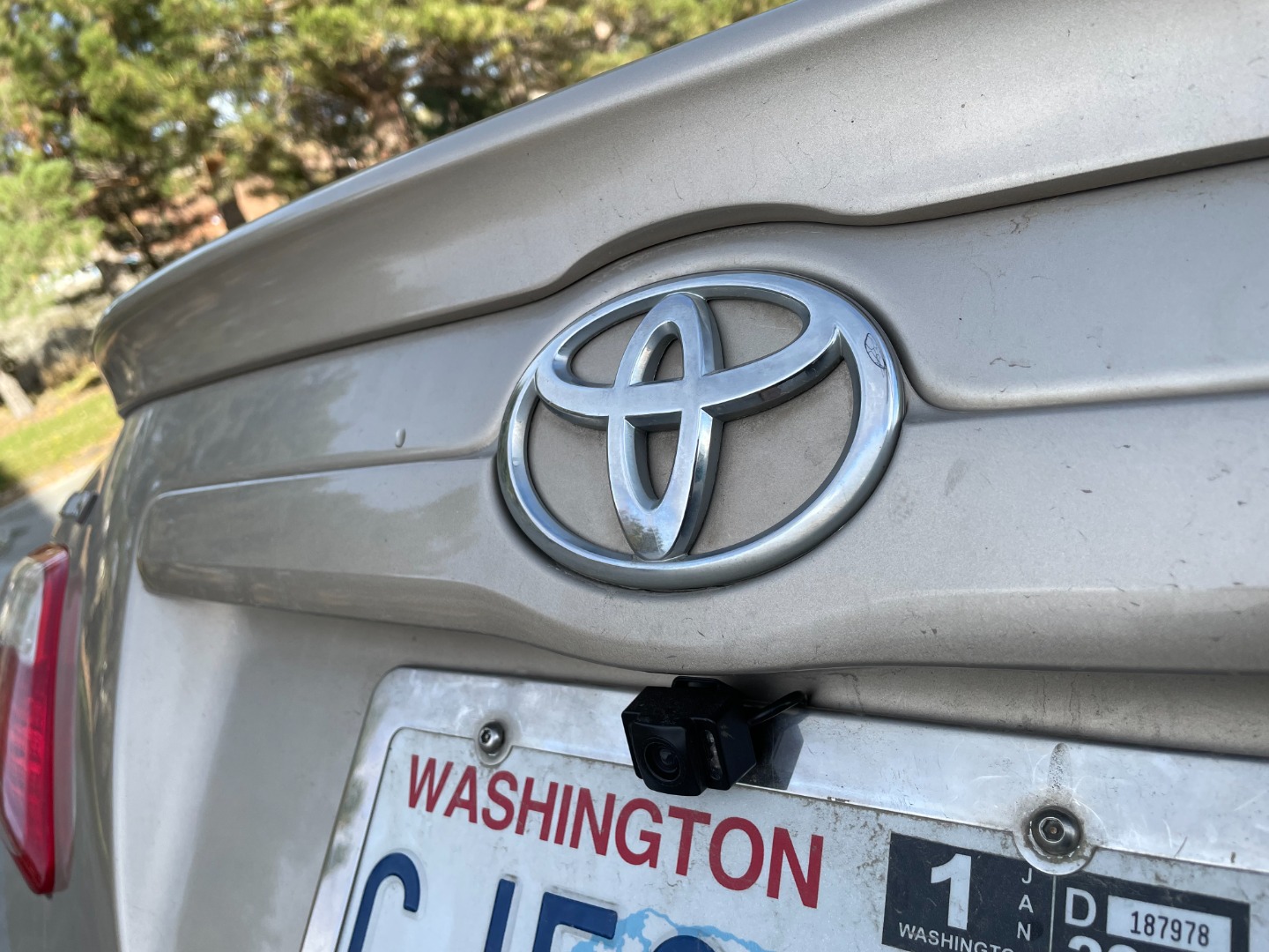 Customer review photo