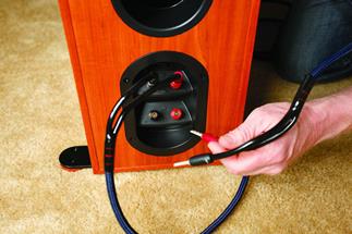 Biamped speaker