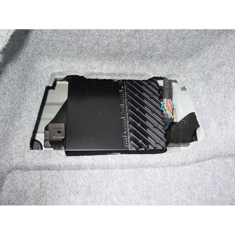 2010 BMW 3 Series Factory amplifier