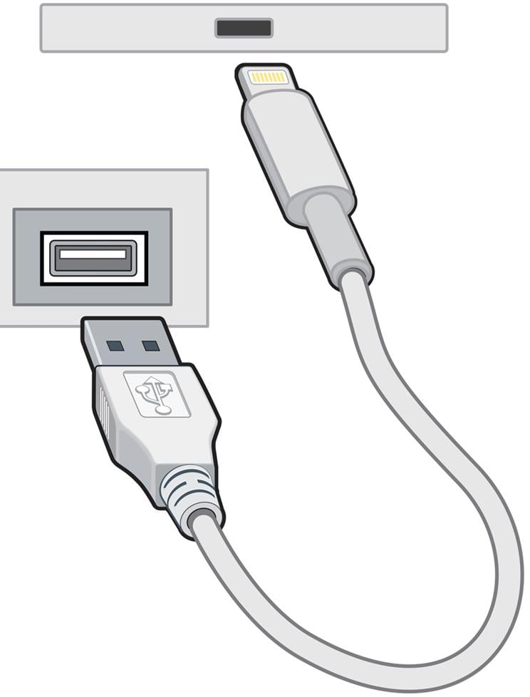 Lightning-to-USB cable