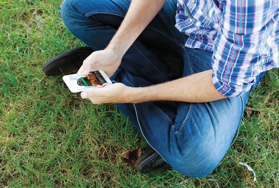 Spotify in the grass