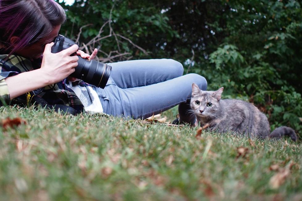 Photograph your pets at ground level for the best shots