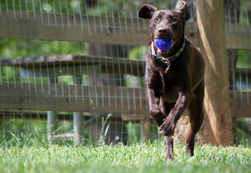 Colbie