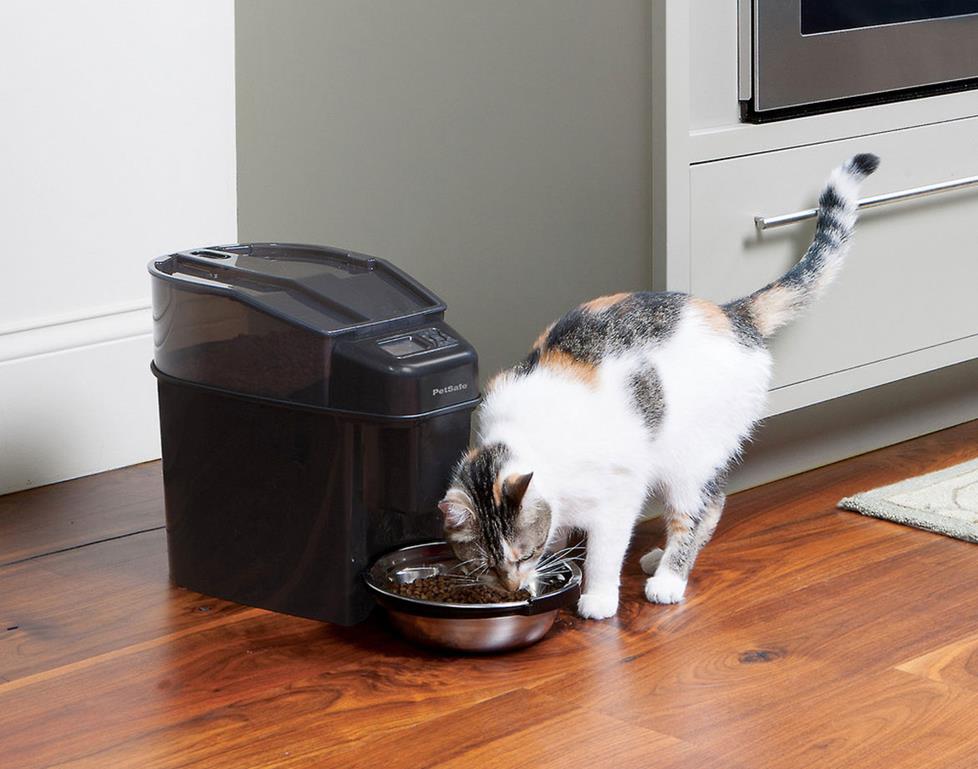 Cat eating out of a Simply Feed feeder.
