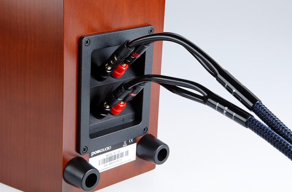 Bi-amped speaker connections