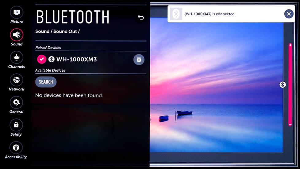 Screenshot of TV bluetooth menu
