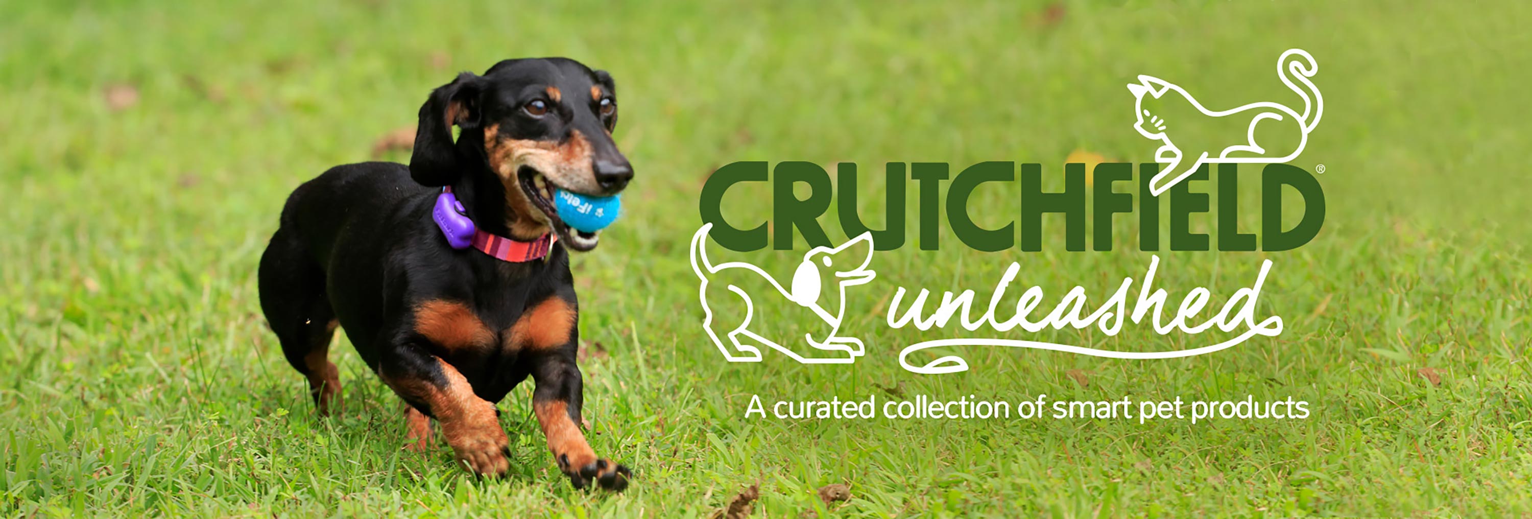 A curated collection of pet technology