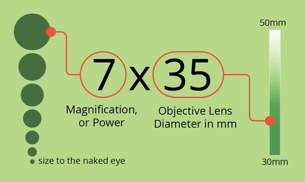 7x42 means 7x magnification and a 42mm objective lens diameter