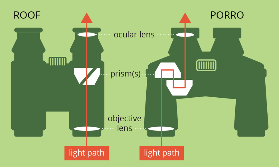 Roof versus porro binoculars