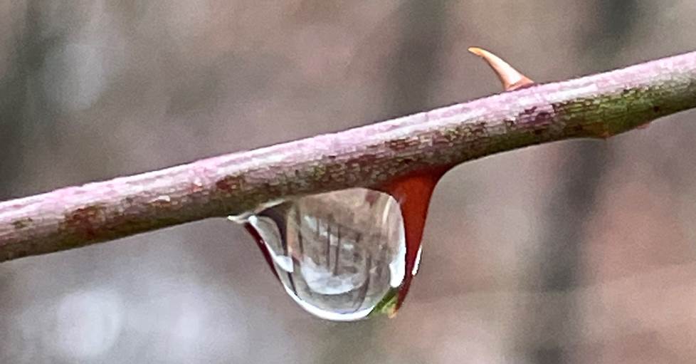 digital zoom example
