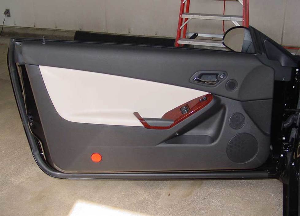 Pontiac G6 front door