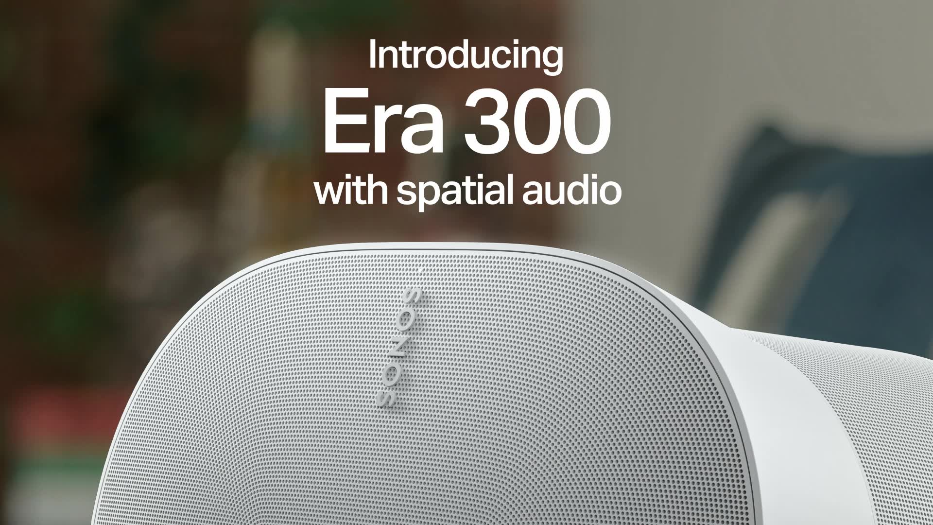 Era 300