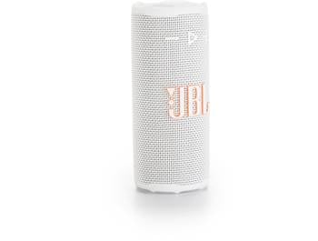 Portable Bluetooth Speakers