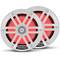 Rockford Fosgate M1-65