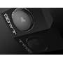 JL Audio CS110TG-TW3 Other
