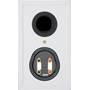Monitor Audio Bronze 50 Back (shown in white)