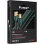 AudioQuest Forest Other