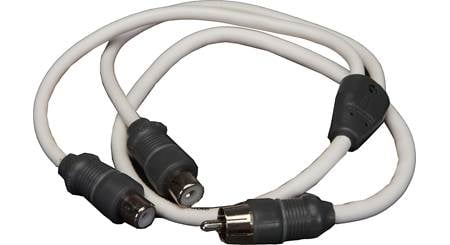 JL Audio Marine Y-adapter Cable