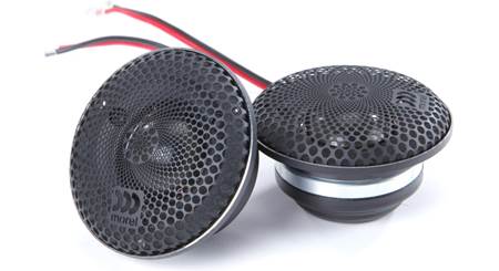 Morel Elate Carbon Alto