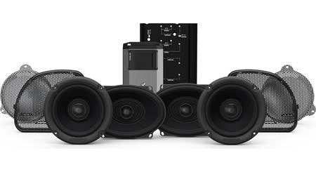 Rockford Fosgate HD14CVO-STG2