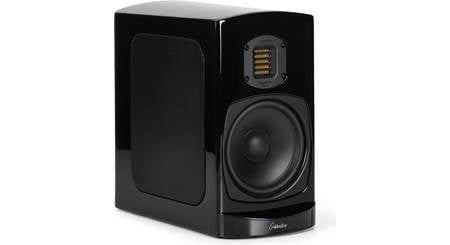 GoldenEar BRX
