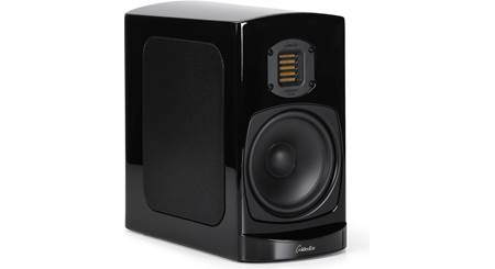 GoldenEar BRX