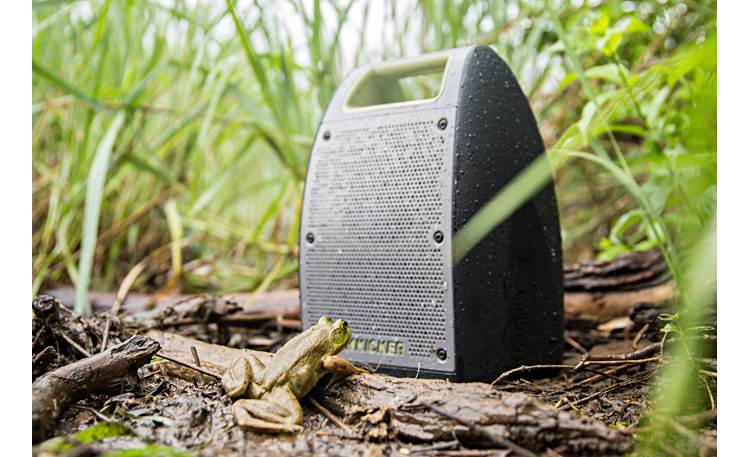 Kicker Bullfrog® BF400 Music System Green - waterproof and dust-proof