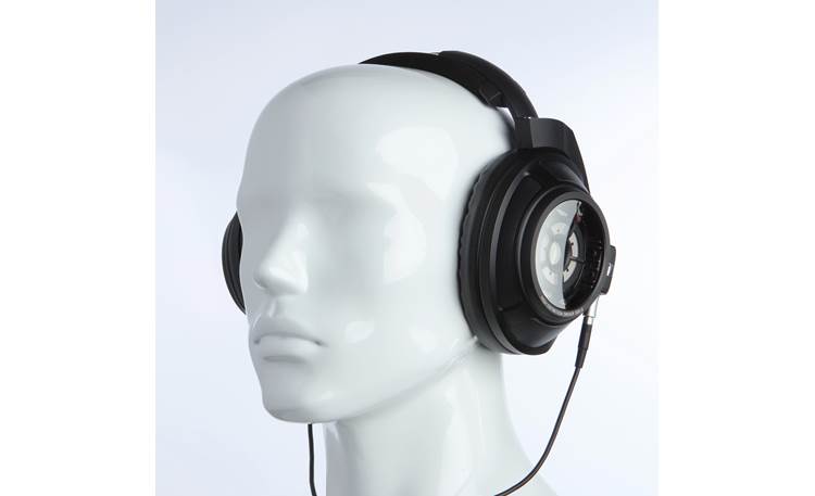Sennheiser HD 820 Mannequin shown for fit and scale