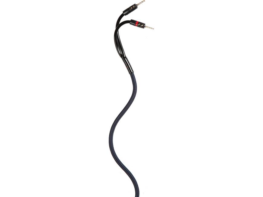 AudioQuest Type 4 (10-foot pair) Speaker cables with pre-attached