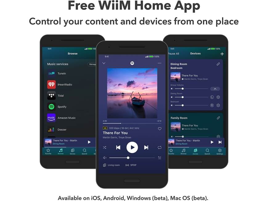 WiiM Mini Streaming music player and digital preamp with Wi-Fi