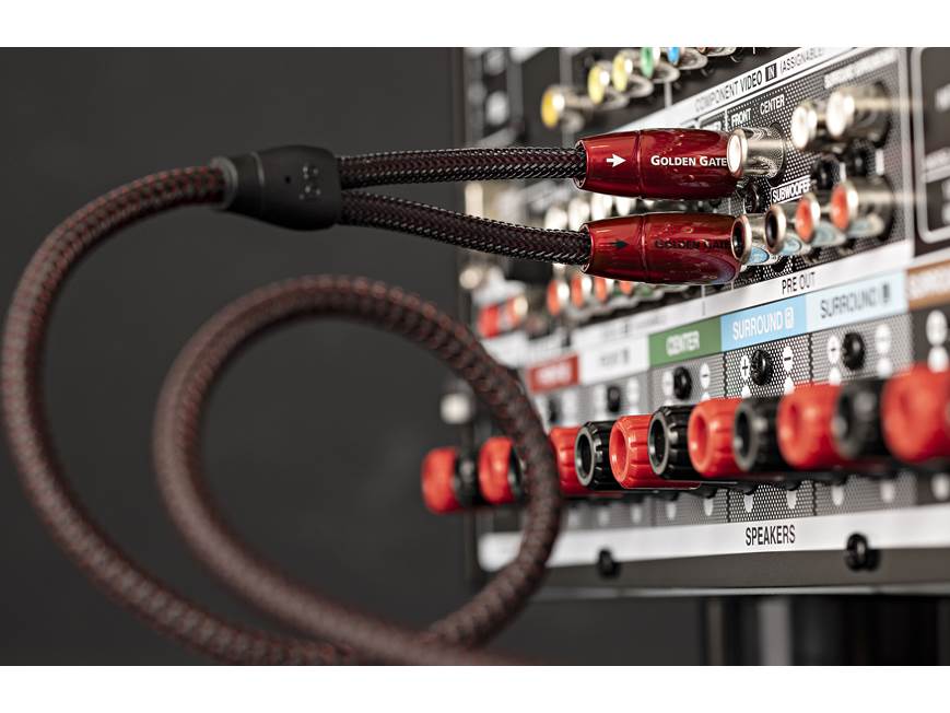 AudioQuest Golden Gate (0.6 meter/2 feet) Stereo interconnect